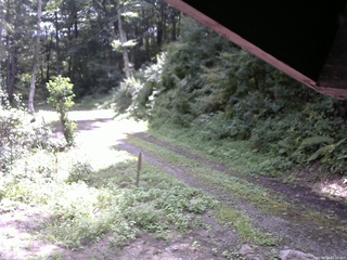 長野県菅平高原 ゆたか山荘 東側(坂下) 2025/08/24 10:15