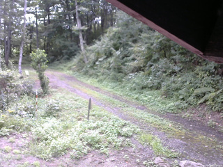 長野県菅平高原 ゆたか山荘 東側(坂下) 2025/08/24 10:30