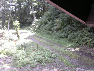 長野県菅平高原 ゆたか山荘 東側(坂下) 2025/08/24 10:45