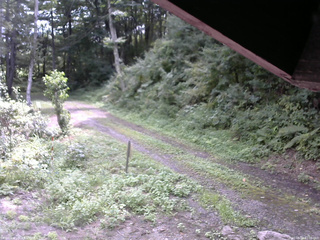 長野県菅平高原 ゆたか山荘 東側(坂下) 2025/08/24 11:00