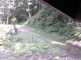 長野県菅平高原 ゆたか山荘 東側(坂下) 2025/08/24 12:00