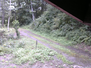長野県菅平高原 ゆたか山荘 東側(坂下) 2025/08/24 13:00