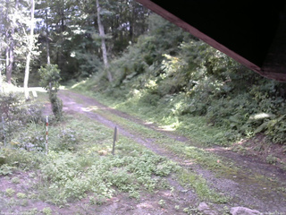 長野県菅平高原 ゆたか山荘 東側(坂下) 2025/08/24 13:15