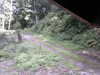 長野県菅平高原 ゆたか山荘 東側(坂下) 2025/08/24 13:45