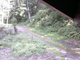 長野県菅平高原 ゆたか山荘 東側(坂下) 2025/08/24 14:00