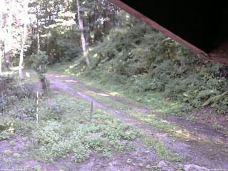 長野県菅平高原 ゆたか山荘 東側(坂下) 2025/08/24 14:30