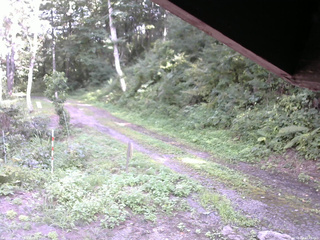 長野県菅平高原 ゆたか山荘 東側(坂下) 2025/08/24 14:45