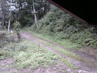 長野県菅平高原 ゆたか山荘 東側(坂下) 2025/08/24 15:00