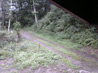長野県菅平高原 ゆたか山荘 東側(坂下) 2025/08/24 15:30