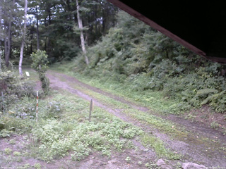 長野県菅平高原 ゆたか山荘 東側(坂下) 2025/08/24 15:45