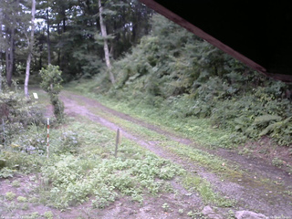 長野県菅平高原 ゆたか山荘 東側(坂下) 2025/08/24 16:00