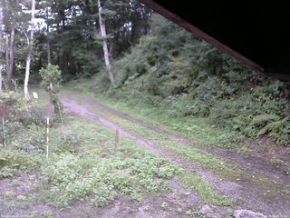 長野県菅平高原 ゆたか山荘 東側(坂下) 2025/08/24 16:15