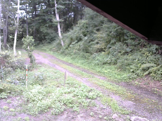 長野県菅平高原 ゆたか山荘 東側(坂下) 2025/08/24 16:30