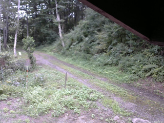長野県菅平高原 ゆたか山荘 東側(坂下) 2025/08/24 16:45