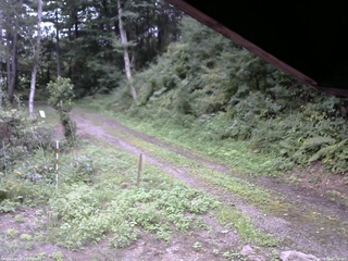 長野県菅平高原 ゆたか山荘 東側(坂下) 2025/08/24 17:00