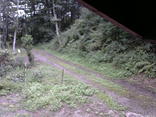 長野県菅平高原 ゆたか山荘 東側(坂下) 2025/08/24 17:15