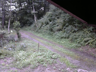 長野県菅平高原 ゆたか山荘 東側(坂下) 2025/08/24 17:30