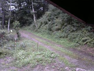 長野県菅平高原 ゆたか山荘 東側(坂下) 2025/08/24 18:15