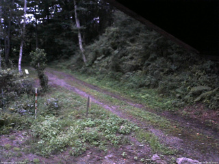 長野県菅平高原 ゆたか山荘 東側(坂下) 2025/08/24 18:30