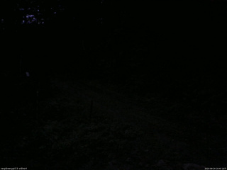 長野県菅平高原 ゆたか山荘 東側(坂下) 2025/08/24 18:45