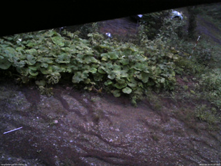 長野県菅平高原 ゆたか山荘 駐車場 2025/08/24 05:00