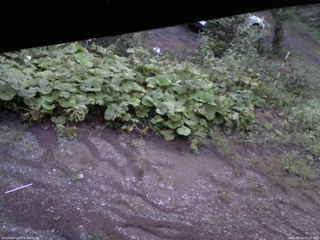 長野県菅平高原 ゆたか山荘 駐車場 2025/08/24 05:15