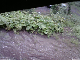 長野県菅平高原 ゆたか山荘 駐車場 2025/08/24 05:30