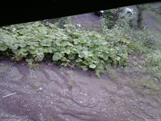 長野県菅平高原 ゆたか山荘 駐車場 2025/08/24 05:45