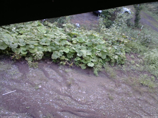 長野県菅平高原 ゆたか山荘 駐車場 2025/08/24 06:00