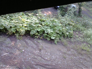 長野県菅平高原 ゆたか山荘 駐車場 2025/08/24 06:30