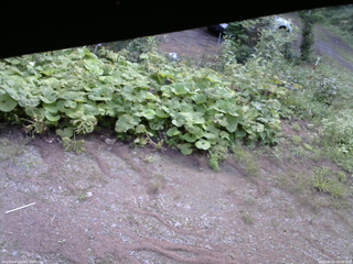 長野県菅平高原 ゆたか山荘 駐車場 2025/08/24 08:45