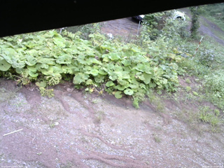 長野県菅平高原 ゆたか山荘 駐車場 2025/08/24 09:00