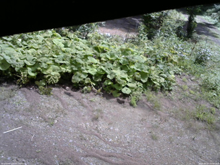 長野県菅平高原 ゆたか山荘 駐車場 2025/08/24 09:45