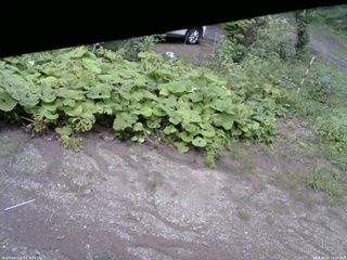 長野県菅平高原 ゆたか山荘 駐車場 2025/08/24 10:00