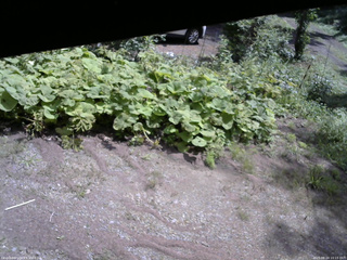 長野県菅平高原 ゆたか山荘 駐車場 2025/08/24 10:15