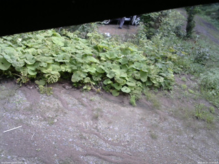 長野県菅平高原 ゆたか山荘 駐車場 2025/08/24 10:30