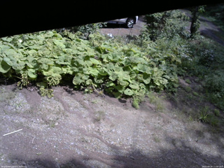 長野県菅平高原 ゆたか山荘 駐車場 2025/08/24 11:00