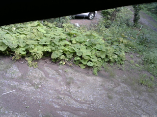 長野県菅平高原 ゆたか山荘 駐車場 2025/08/24 12:15