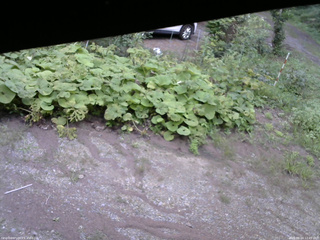 長野県菅平高原 ゆたか山荘 駐車場 2025/08/24 12:45