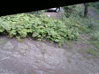 長野県菅平高原 ゆたか山荘 駐車場 2025/08/24 13:00