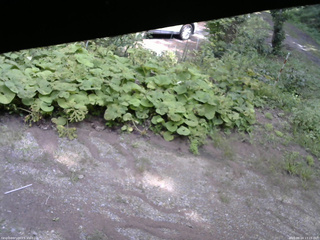長野県菅平高原 ゆたか山荘 駐車場 2025/08/24 13:15