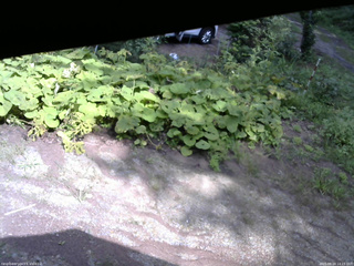 長野県菅平高原 ゆたか山荘 駐車場 2025/08/24 14:15