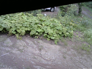 長野県菅平高原 ゆたか山荘 駐車場 2025/08/24 15:00