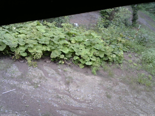 長野県菅平高原 ゆたか山荘 駐車場 2025/08/24 15:45