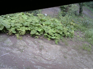 長野県菅平高原 ゆたか山荘 駐車場 2025/08/24 17:15