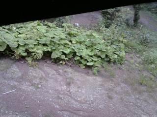長野県菅平高原 ゆたか山荘 駐車場 2025/08/24 17:30