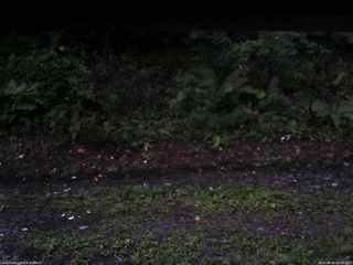 長野県菅平高原 ゆたか山荘 南側 2025/08/25 05:00