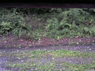 長野県菅平高原 ゆたか山荘 南側 2025/08/25 05:15