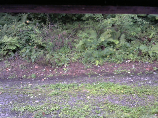 長野県菅平高原 ゆたか山荘 南側 2025/08/25 05:30