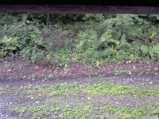 長野県菅平高原 ゆたか山荘 南側 2025/08/25 05:45